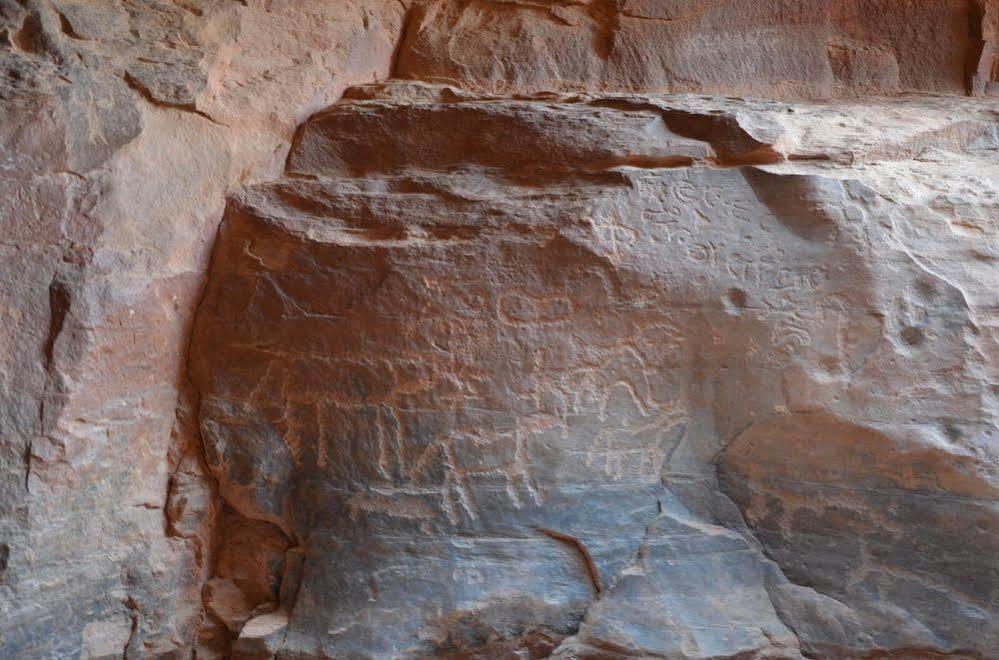 Black Irish Camp And Tours Wadi Rum Extérieur photo
